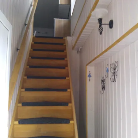 Apartment One-bedroom In Ii